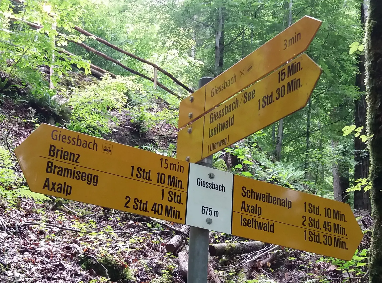 Woodland path and yellow hiking signs at Giessbach for the lakeside route and Brienz