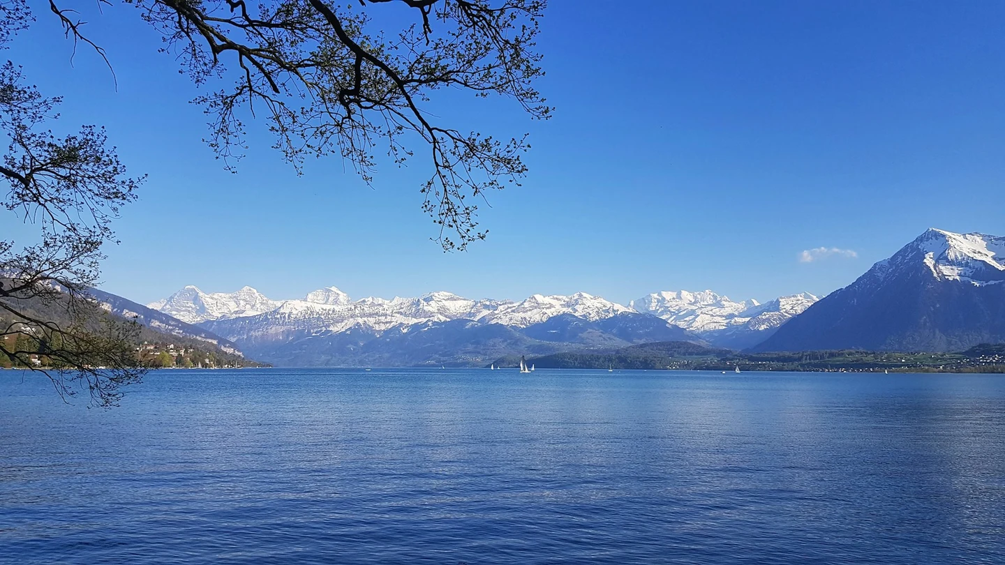 Lake Thun and mountains seen from Schadau park