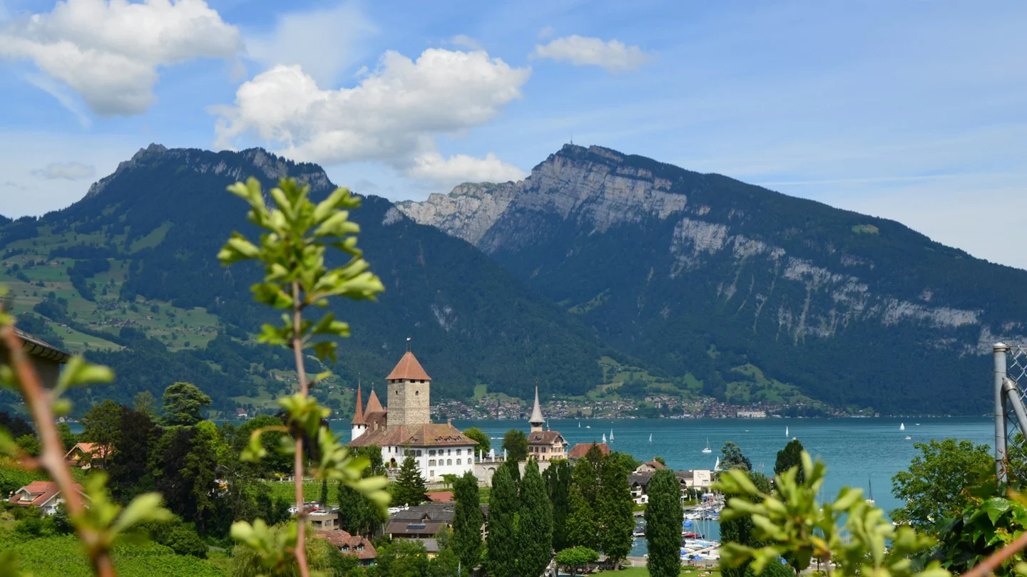 Lake Thun seen from Spiez